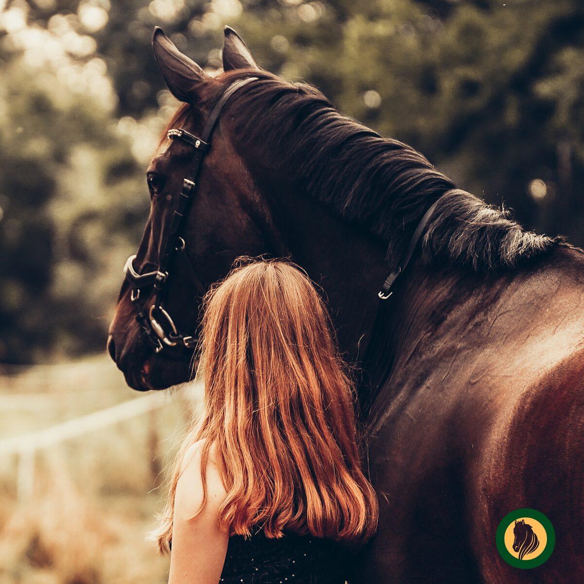 Assistente AI equestre